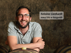 Antoine Lienhardt nowa fala w Burgundii (800 x 600 px)